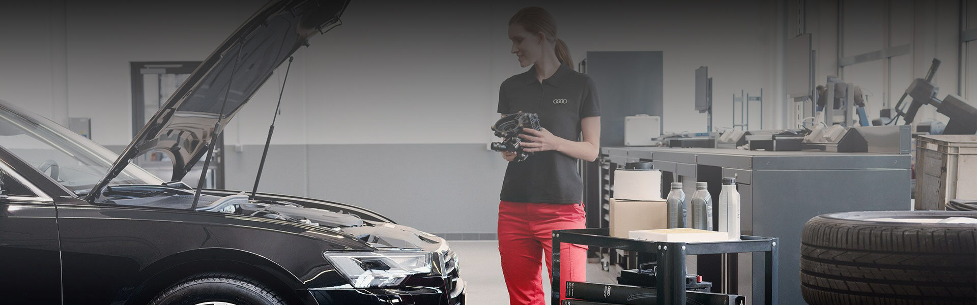 Program Audi Serwis 6+
