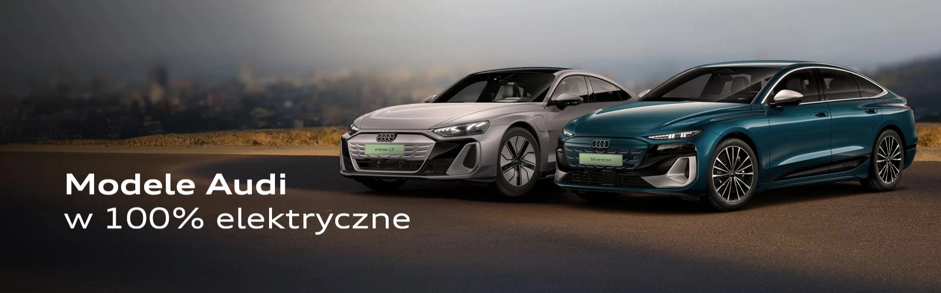Modele Audi w 100% elektryczne